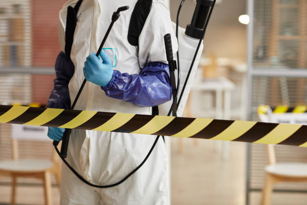 Professional Odor Removal technician working in Hills, MN
